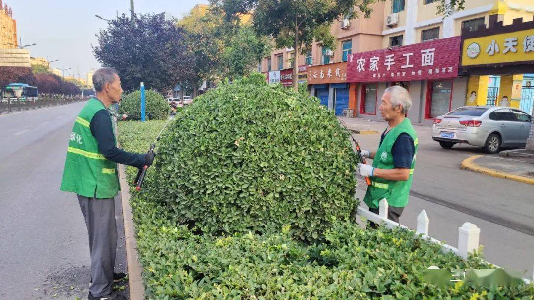 三门峡市园林绿化精细化管理工作周工作通报(10)