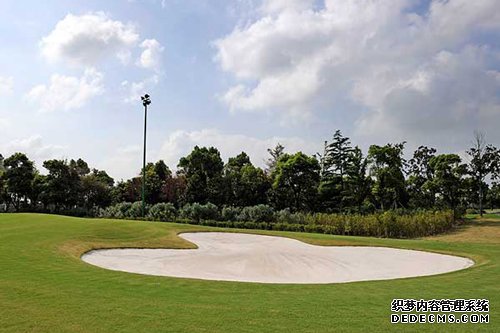 高尔夫球场草坪