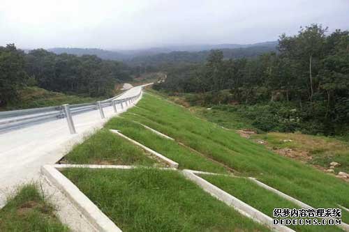 公路路基边坡适合喷播什么草种(1)