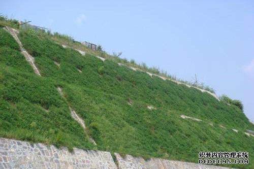 边坡绿化