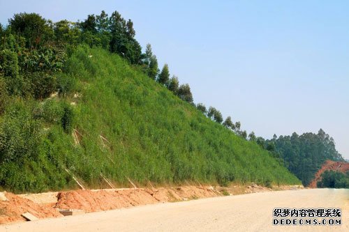 高次团粒喷播