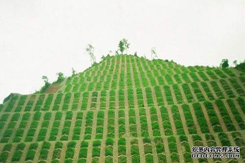 喷播机使用范围