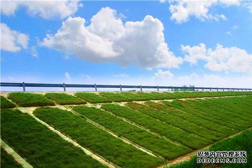 边坡绿化设备故障