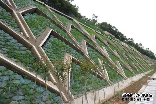 植被绿化技术